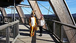 Ostern auf dem Baumwipfelpfad im Nationalpark Bayerischer Wald